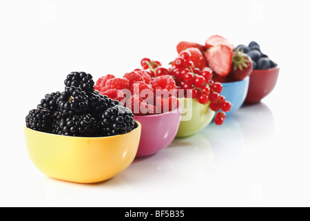 Waldbeeren, bunte Gerichte mit Waldbeeren, Blaubeeren, Brombeeren, Himbeeren, Johannisbeeren, Erdbeeren Stockfoto