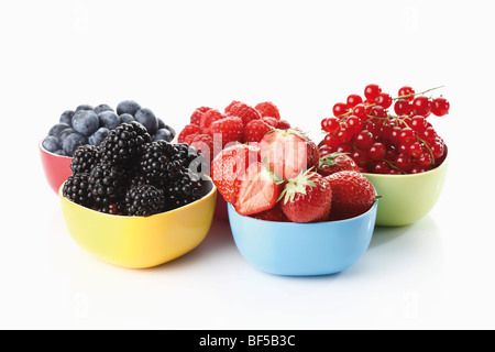 Waldbeeren, bunte Gerichte mit Waldbeeren, Blaubeeren, Brombeeren, Himbeeren, Johannisbeeren, Erdbeeren Stockfoto