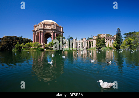 Palast der schönen Künste, Presidio Park, San Francisco, Kalifornien, USA, Amerika Stockfoto