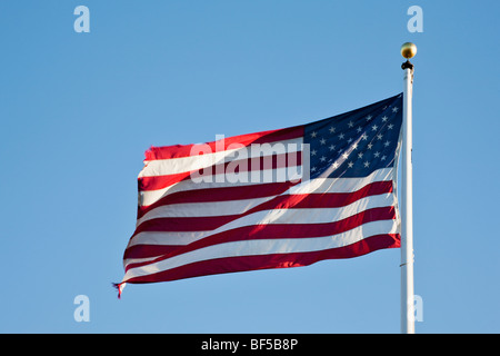 Flagge der Vereinigten Staaten von Amerika Stockfoto