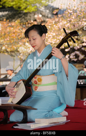 Frau spielt ein Shamisen, dreisaitige japanische Musikinstrument, Kyoto, Japan, Asien Stockfoto