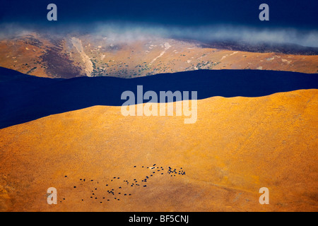 Dramatische Landschaft des Daocheng County, tibetischen autonomen Präfektur Garzê, Sichuan Provinz, China Stockfoto