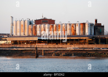 Port-Tanker, Ölhafen, Storage Tanks, Hamburger Hafen, Hamburg, Germany, Europe Stockfoto