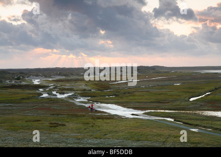 Sonnenuntergang im Naturschutzgebiet De Slufter, Texel, Holland, Niederlande, Europa Stockfoto