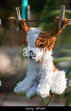 Ein Hundespielzeug hängen frisch gewaschen auf der Wäscheleine Stockfoto