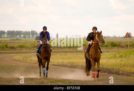 Jockeys reiten Pferde in Rennen, Ural, Russland Stockfoto