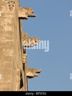 Wasserspeier an der Kastellania am Platia Ippokratou, Rhodos, Rhodos, Griechenland, Europa Stockfoto