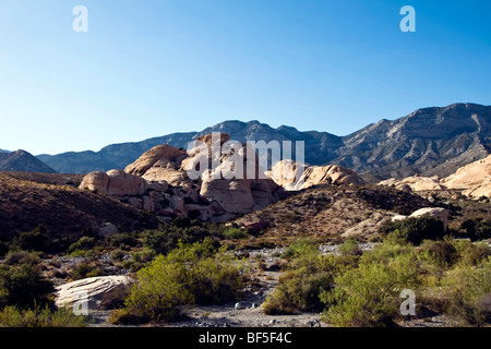 Red Rock Canyon, Nevada, USA Stockfoto