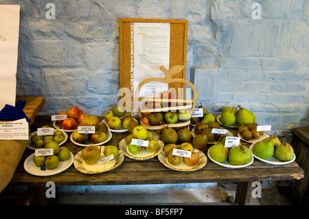 Bauernherbst Anzeigen von Äpfeln und Birnen in der Schutzhütte in Painswick Rokoko Gardens in Cotswolds Stockfoto