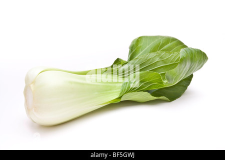 Pak Choi aus der Kohl-Familie, die in der asiatischen Küche auf weißen Hintergrund isoliert Stockfoto