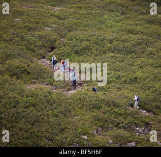 Wanderung zum Wasserfall Svartifoss, Skaftafell-Nationalpark, Island Stockfoto