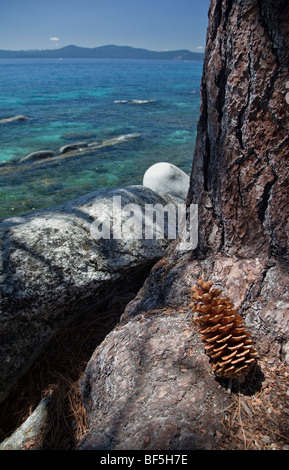 Sierra-Granit und Kiefern, Lake Tahoe, Nevada Stockfoto