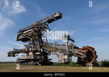 Riesenrad Schaufelrad Bagger, "Ferropolis", Stadt aus Eisen, Sachsen-Anhalt, Deutschland, Europa Stockfoto