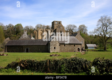 Abbaye de Hambye, Manche, Region Basse-Normandie, Normandie, Frankreich, Europa Stockfoto