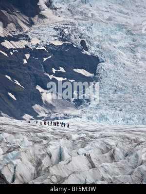 Wandern am Svinafellsjokull Gletscher, Island Stockfoto