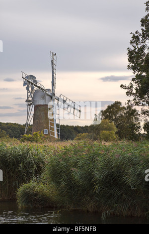 Turf Moor Entwässerung Mühle, Norfolk Broads Stockfoto