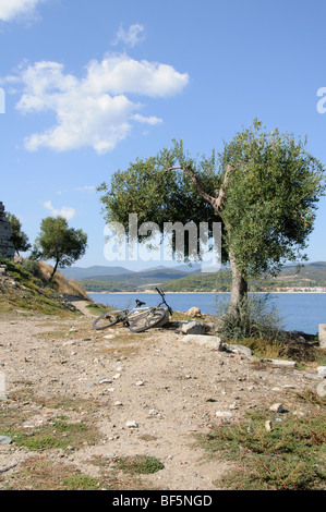 Küsten-Wanderweg mit Blick auf Likythos Bucht am Golf von Kassandra bei Torini Nordgriechenland Stockfoto