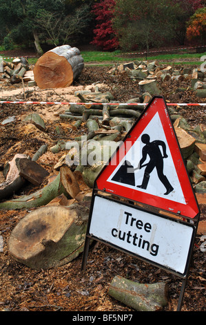 Warnzeichen von gefällten Buche bei zündeten Arboretum, Gloucestershire, England, UK Stockfoto
