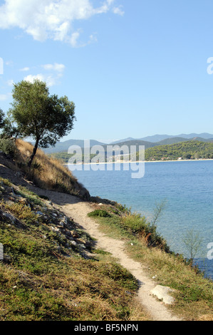 Küsten-Wanderweg mit Blick auf Likythos Bucht am Golf von Kassandra bei Torini Nordgriechenland Stockfoto