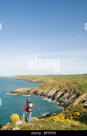 Walker, Blick auf Küste, Pembrokeshire, Wales, UK Stockfoto