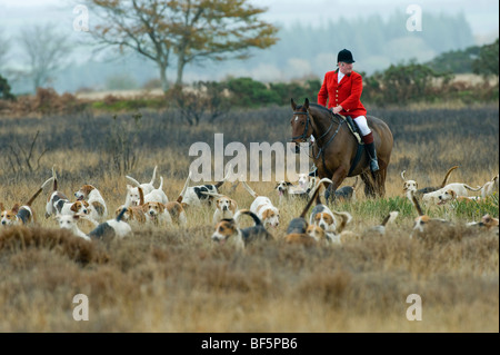 Dulverton Bauern Jagd genießen Sie am ersten Tag der Saison auf Exmoor, Großbritannien Stockfoto