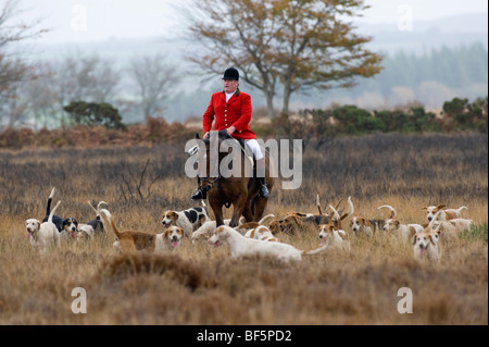 Dulverton Bauern Jagd genießen Sie am ersten Tag der Saison auf Exmoor, Großbritannien Stockfoto