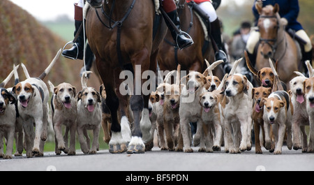 Dulverton Bauern Jagd genießen Sie am ersten Tag der Saison auf Exmoor, Großbritannien Stockfoto