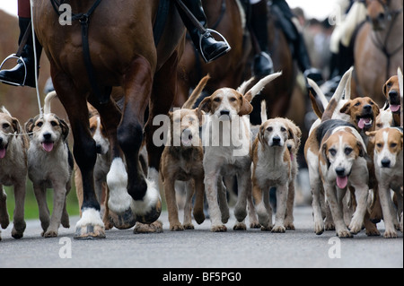 Dulverton Bauern Jagd genießen Sie am ersten Tag der Saison auf Exmoor, Großbritannien Stockfoto