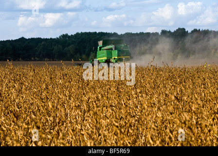 John Deer kombinieren Ernte Sojabohnen, Ukraine Stockfoto