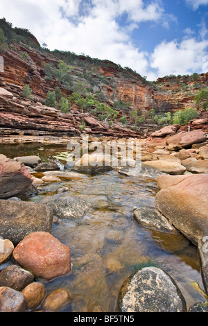 Murchison River fließt durch den Tumblagooda Sandstein Schluchten des Kalbarri National Park im mittleren Westen Western Australia Stockfoto