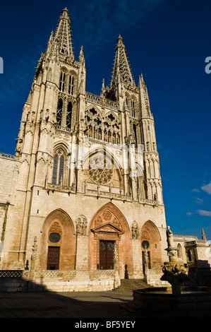 Kathedrale der Jungfrau Maria in Burgos Stockfoto