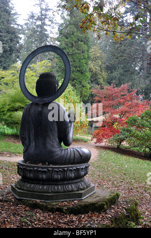 Buddha-Statue im Herbst bei zündeten Arboretum, Gloucestershire, England, UK Stockfoto