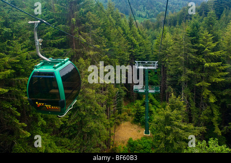 Die Sky Trail Gondelfahrt durch Redwood Forest, Bäume of Mystery, Del Norte County, Kalifornien Stockfoto