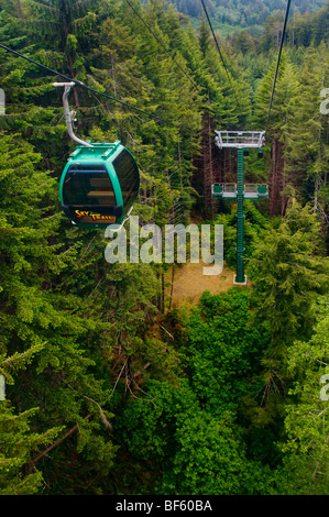 Die Sky Trail Gondelfahrt durch Redwood Forest, Bäume of Mystery, Del Norte County, Kalifornien Stockfoto