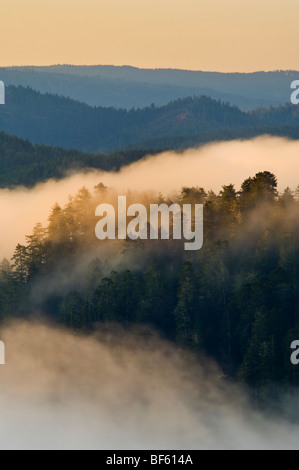 Sunrise-Licht auf Küstennebel über Hügel in der Nähe der Mündung des Klamath River, Redwood National Park, Kalifornien Stockfoto