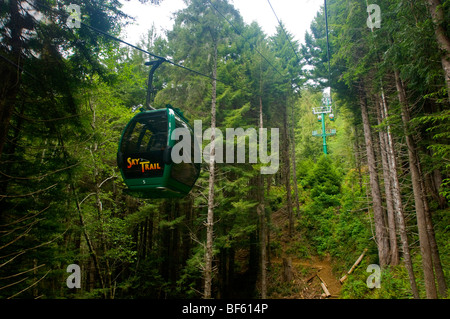 Die Sky Trail Gondelfahrt durch Redwood Forest, Bäume of Mystery, Del Norte County, Kalifornien Stockfoto