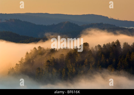 Sunrise-Licht auf Küstennebel über Hügel in der Nähe der Mündung des Klamath River, Redwood National Park, Kalifornien Stockfoto