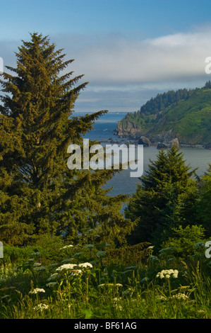 Küstennebel über die zerklüfteten Berge und Meer, Redwood National Park, Kalifornien Stockfoto