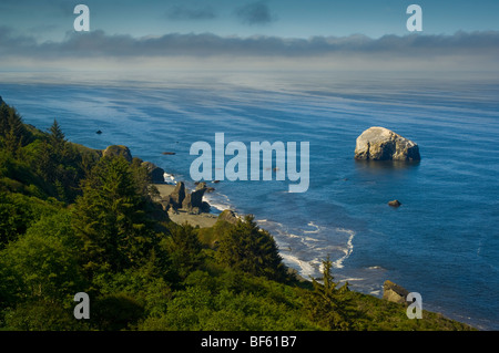 Küstennebel über die zerklüfteten Berge und Meer, Redwood National Park, Kalifornien Stockfoto