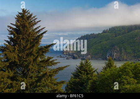 Küstennebel über die zerklüfteten Berge und Meer, Redwood National Park, Kalifornien Stockfoto