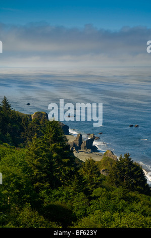 Küstennebel über die zerklüfteten Berge und Meer, Redwood National Park, Kalifornien Stockfoto