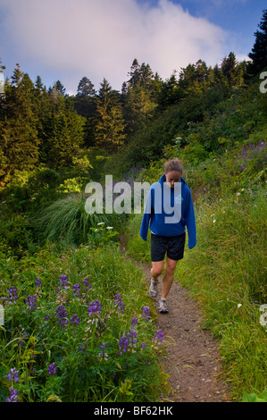 Junge weibliche Frau Wanderer auf Trail durch Wald und Pflanzen Trinidad State Beach, Humboldt County, Kalifornien Stockfoto