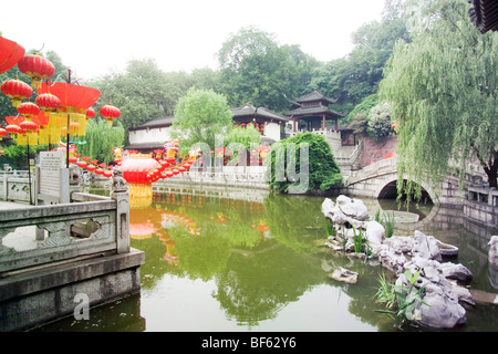 Gans-Teich in Yellow Crane Tower Park, Stadt Wuhan, Hubei, China Stockfoto