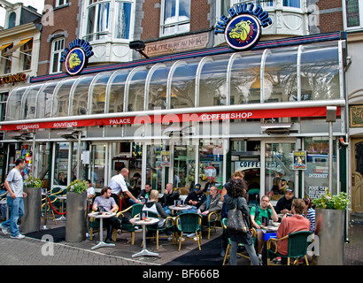 Bulldog Amsterdam Coffee Shop gemeinsame Haschisch Gras Canabis Marihuana Schmiere Marihuana Drogen Cannabis coffeeshop Stockfoto