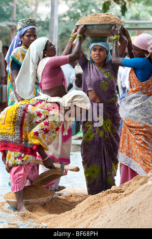 Indische Frau arbeiten auf den Straßen, Heben und Tragen Sand in eine Schüssel geben. Puttaparthi, Andhra Pradesh, Indien Stockfoto