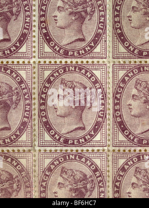 Penny-Flieder Stockfoto