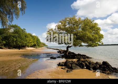 Küste in der Nähe von Shela Dorf - Insel Lamu, Kenia Stockfoto