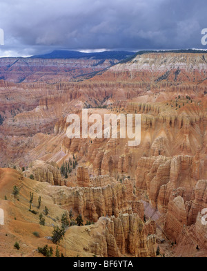 Zeder bricht Amphitheater Blick vom obersten Punkt auf der Westseite des Markagunt Plateau an der Cedar Breaks National Monument, Utah, USA Stockfoto