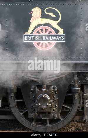 Ein British Railways Löwen-Emblem an der Seite eines Zuges in Sussex, England. Stockfoto