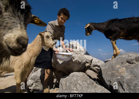 Griechin füttern Ziegen auf einem felsigen Hügel. Stockfoto